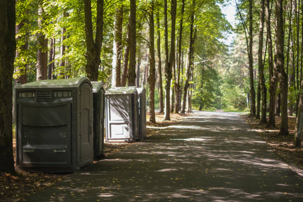 Best Local porta potty services  in Lake Park, IA